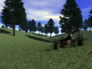 deer in rolling vally.jpg